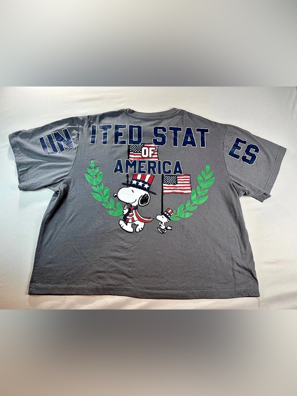 Peanuts United States of America Snoopy Graphic Shirt Crop Gray Large Oversized